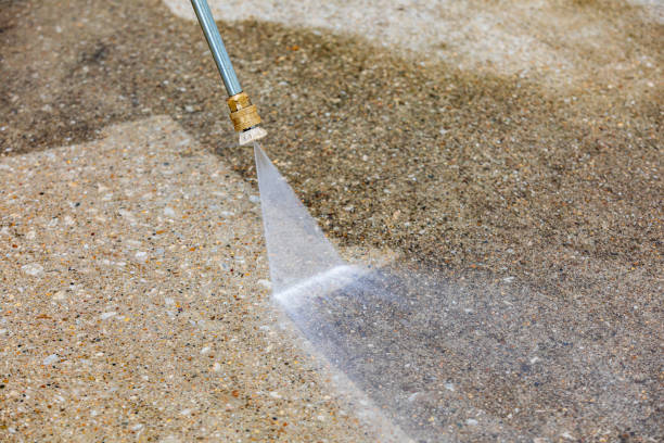 Best Animal Enclosure Cleaning  in Kayenta, AZ