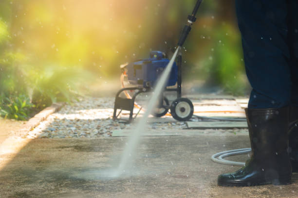 Best Driveway Pressure Washing  in Kayenta, AZ